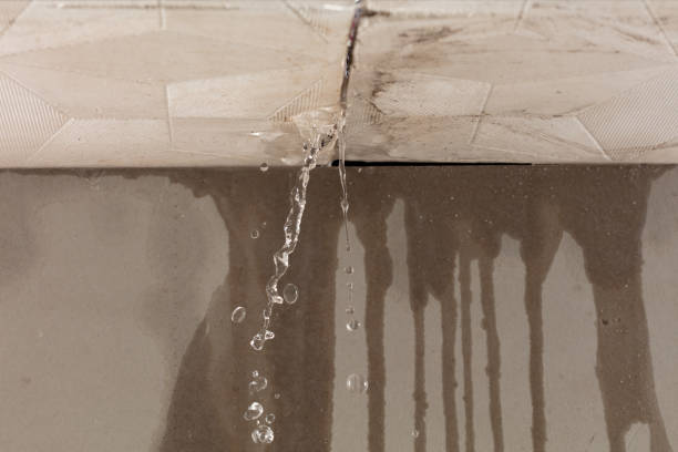 Professional Water Damage Repair technician working in Woodville, AL